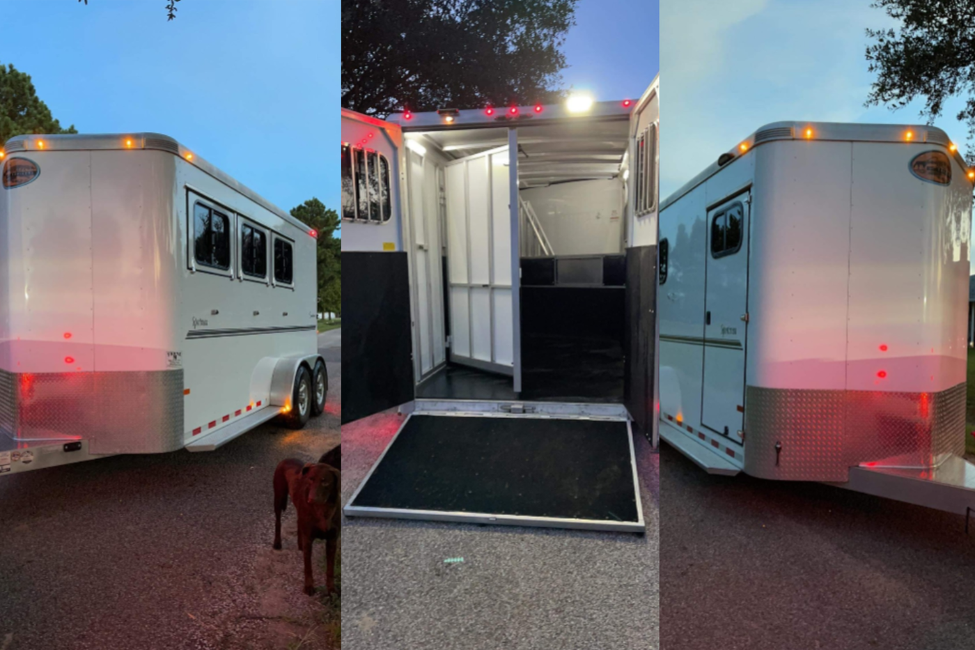 3 Horse Slant Trailer Drafts Size