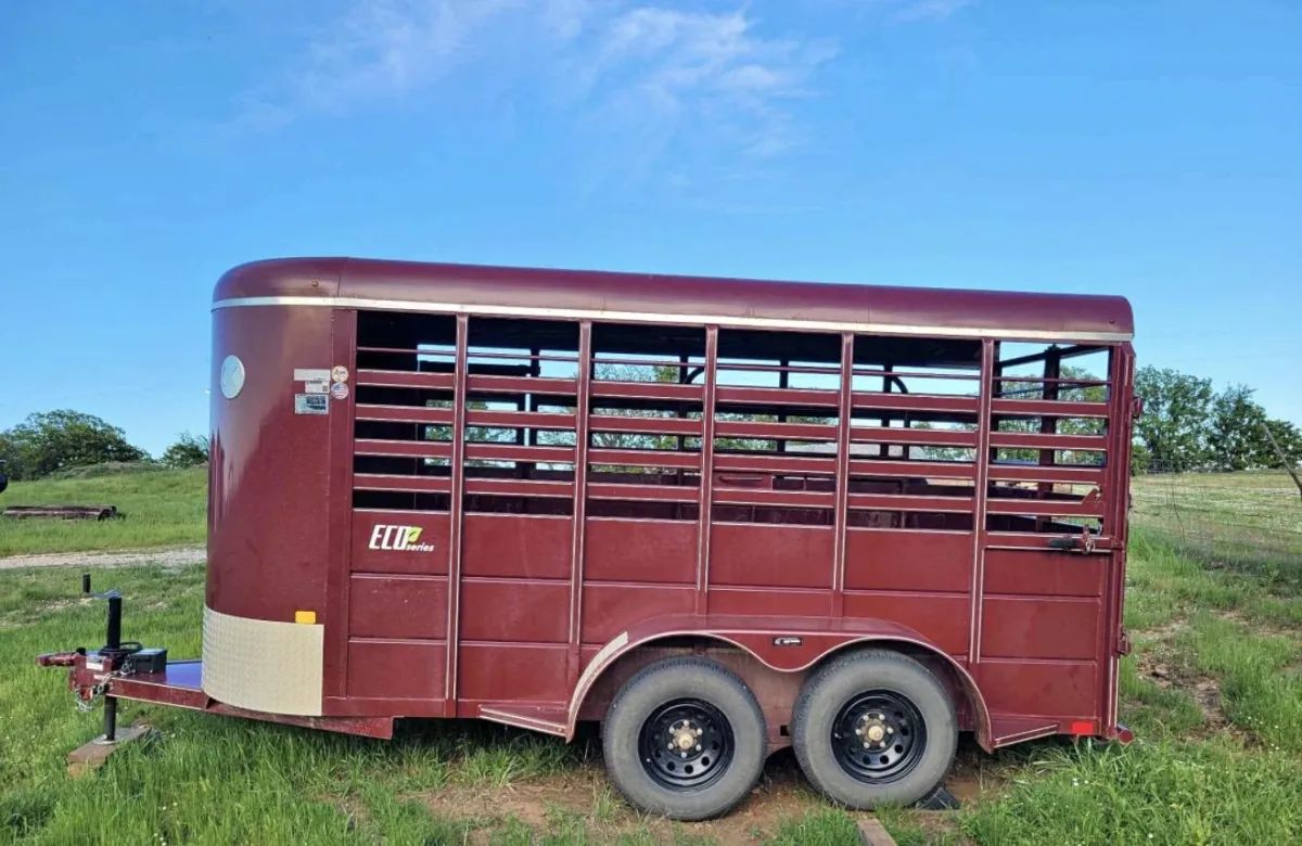 14ft Livestock Trailer