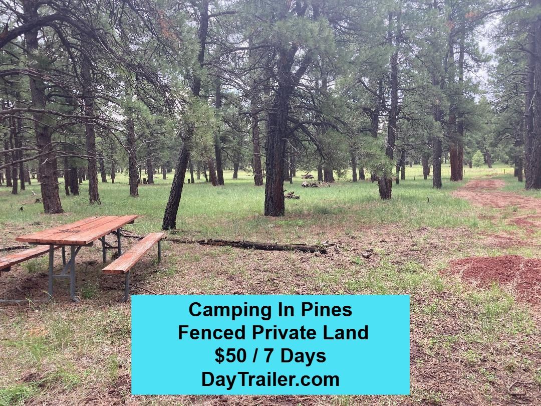 Day Trailer